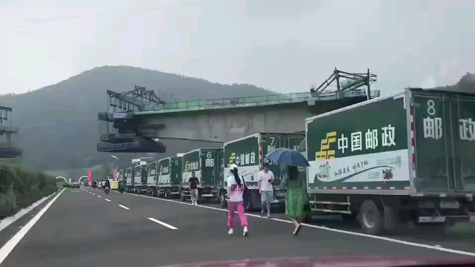 为仙居杨梅保驾护航